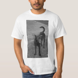 T-shirt B&W - Aspin