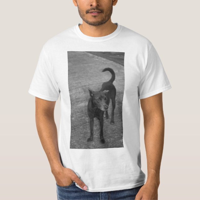 T-shirt B&W - Aspin (Devant)