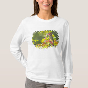 T-shirt Baies de jaseur et de poussée de cèdre sur un