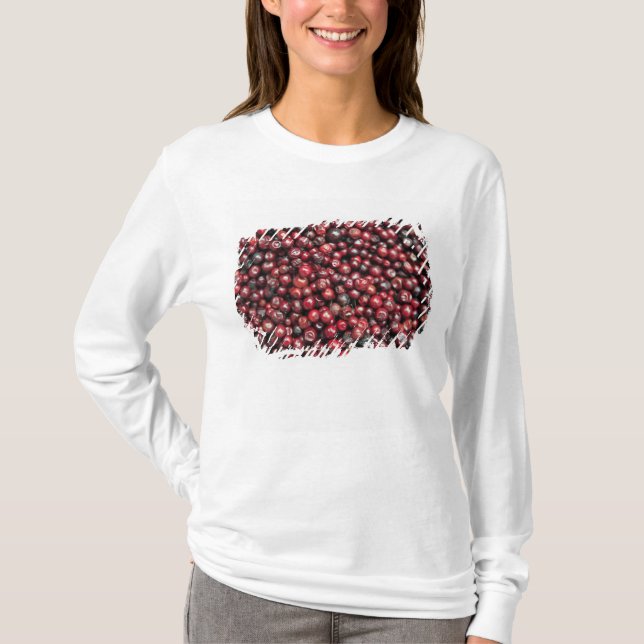 T-shirt Baies rouges de l'Himalaya (Devant)