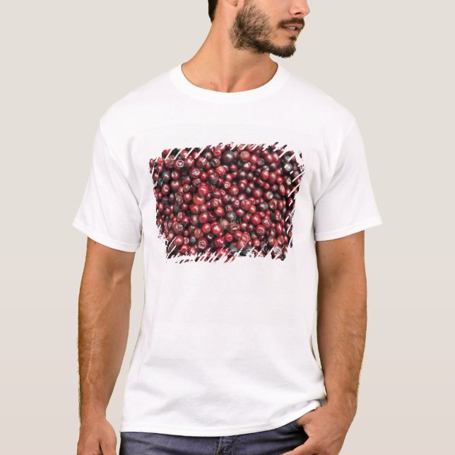 T-shirt Baies rouges de l'Himalaya (Devant)