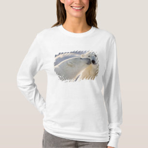 T-shirt Baiser d'ours polaire