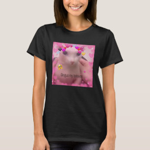 T-shirt Bald Bingus Mon Chat Sphynx Bien-aimé Chauve