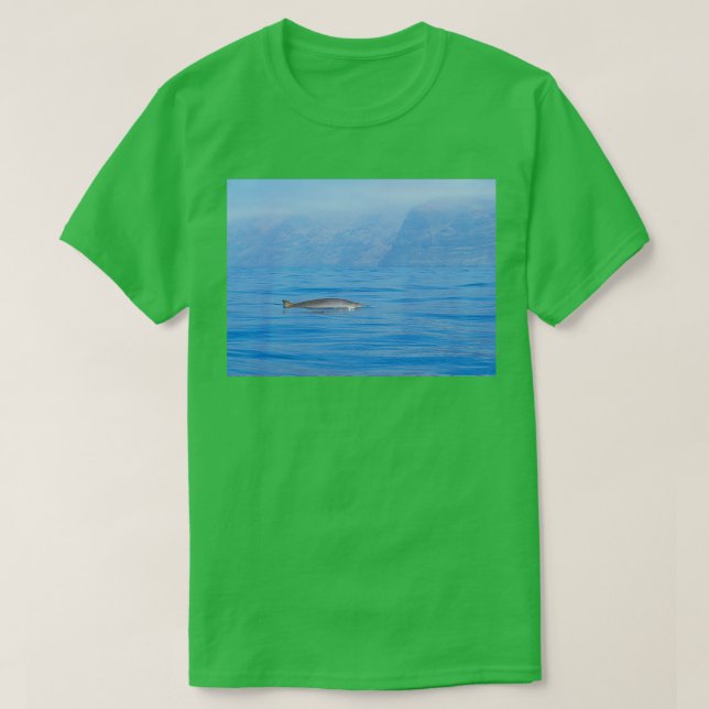 T-shirt Baleine à bec dans la brume (Design devant)
