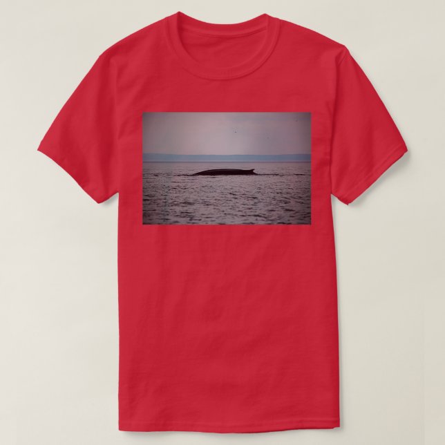 T-shirt Baleine dans un orage (Design devant)