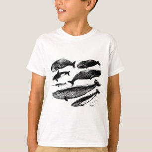 T-shirt baleines
