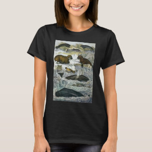 T-shirt Baleines, phoques et morses, animaux marins vintag