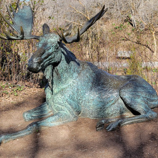 T-shirt Ballerina & Robot