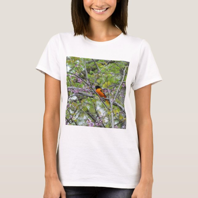 T-shirt Baltimore Oriole (Devant)