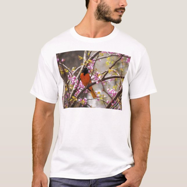 T-shirt Baltimore Oriole (Devant)