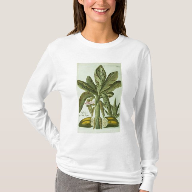 T-shirt Banane, de Phytanthoza Iconographi de J. (Devant)