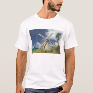 T-shirt BARBADE, côte nord-est, Morgan Lewis : Morgan
