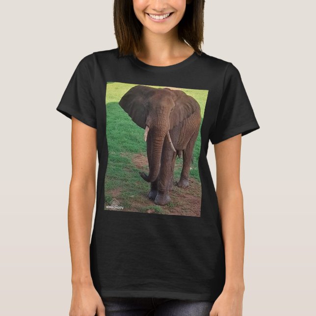 T-shirt basique pour femmes – Portrait d'éléphant  (Devant)