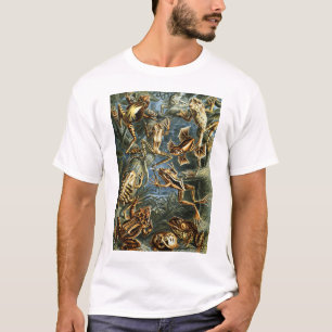 T-shirt Batrachia Frogs par Ernst Haeckel