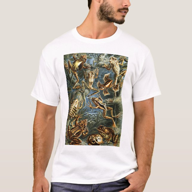 T-shirt Batrachia Frogs par Ernst Haeckel (Devant)
