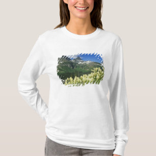T-shirt Beargrass près de Logan Pass dans le parc national