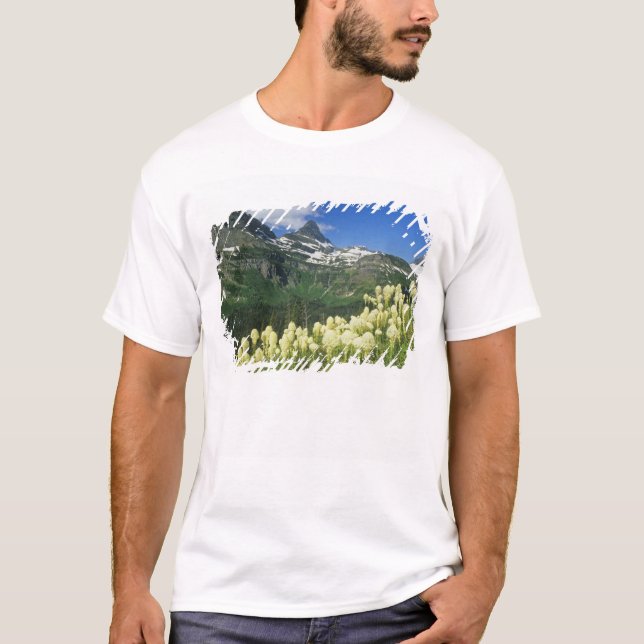 T-shirt Beargrass près du col Logan National Gacier (Devant)