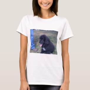 T-shirt Beau chiot de Newfie (race de chien de