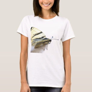 T-shirt Beau papillon