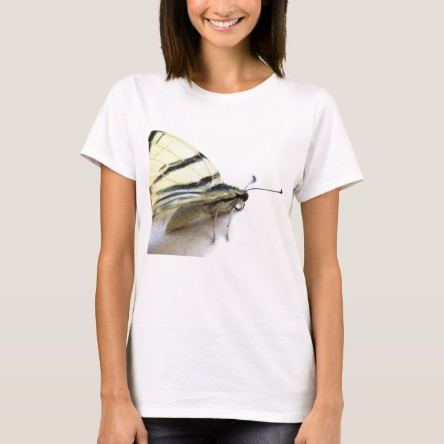 T-shirt Beau papillon (Devant)