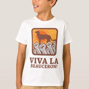 T-shirt Beauceron