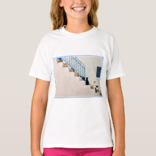 T-shirt Beaucoup de chats sur un escalier blanc dans un vi