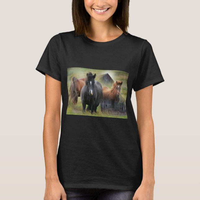 T-shirt Beaux chevaux et grange rustique (Devant)