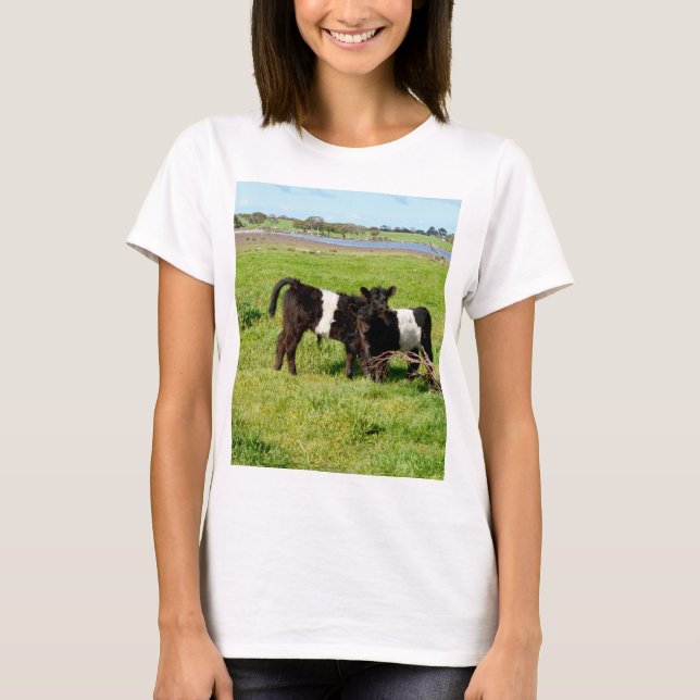 T-shirt Bébé Belted Vaches Galloway Dans Le Pays, (Devant)