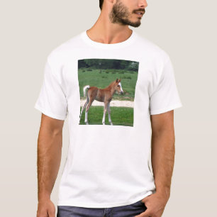 T-shirt Bébé mignon Destin Dons Cadeaux Springtime Adorabl