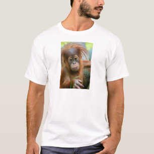 T-shirt Bébé Orangutan, face à face