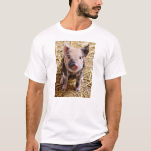 T-shirt Bébés mignons de basse-cour d'animaux de ferme de