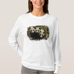 T-shirt Bébés panda géant (Ailuropoda melanoleuca)