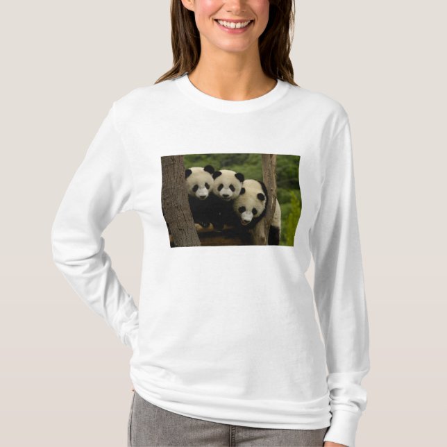 T-shirt Bébés panda géant (Ailuropoda melanoleuca) (Devant)