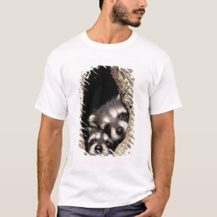 T-shirt Bébés ratons laveurs dans la cavité d'un arbre Pro
