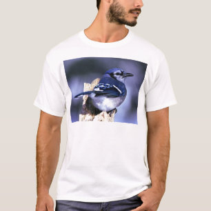 T-shirt Bel oiseau de geai bleu