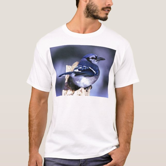 T-shirt Bel oiseau de geai bleu (Devant)