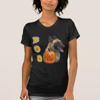 Belge Malinois Boo