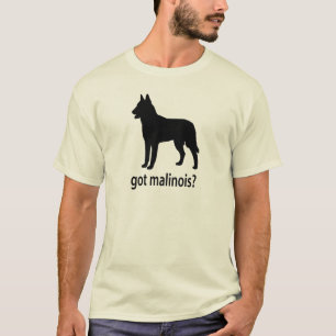 T-shirt Belge obtenu Malinois