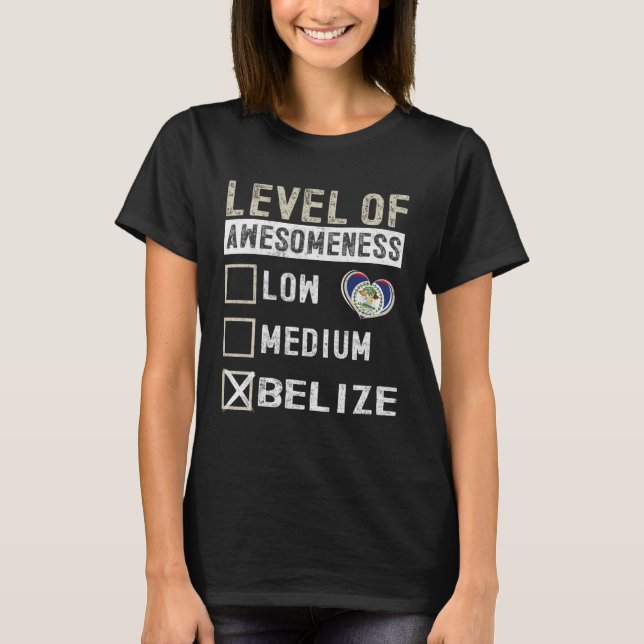 T-shirt Bélize Drapeau Béliziens Niveau De Compréhension (Devant)