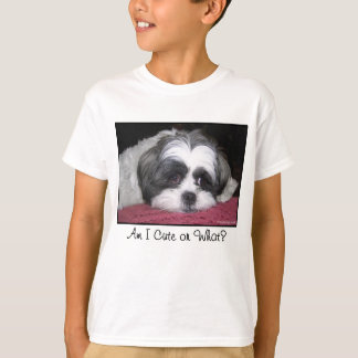 T-shirt Belle le chien de Shih Tzu