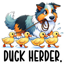 Berger australien Duck Herder