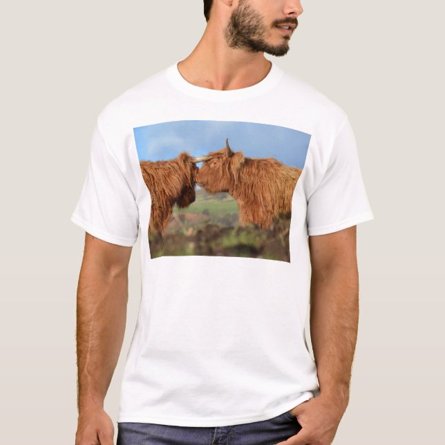 T-shirt Bétail des montagnes écossais (Devant)