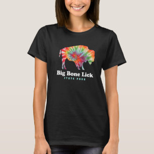 T-shirt Big Bone Lick State Park Kentucky Bison Tie Dye Fo