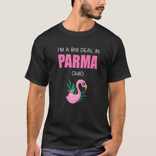 T-shirt Big Deal Parme Sarcastique Ohio Flamant rose rose  (Devant)