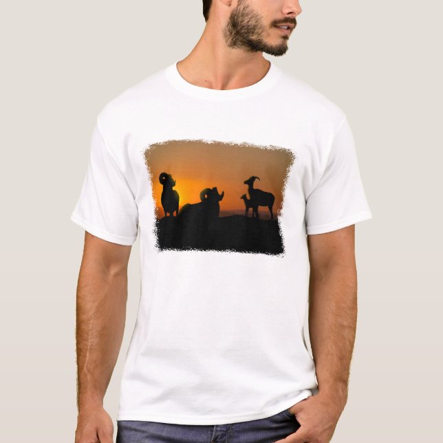 T-shirt Bighorn Sheep (Devant)