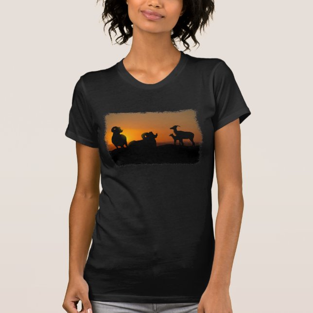 T-shirt Bighorn Sheep (Devant)