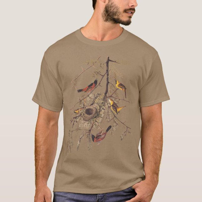 T-shirt bio pour hommes Orchard Oriole (Devant)
