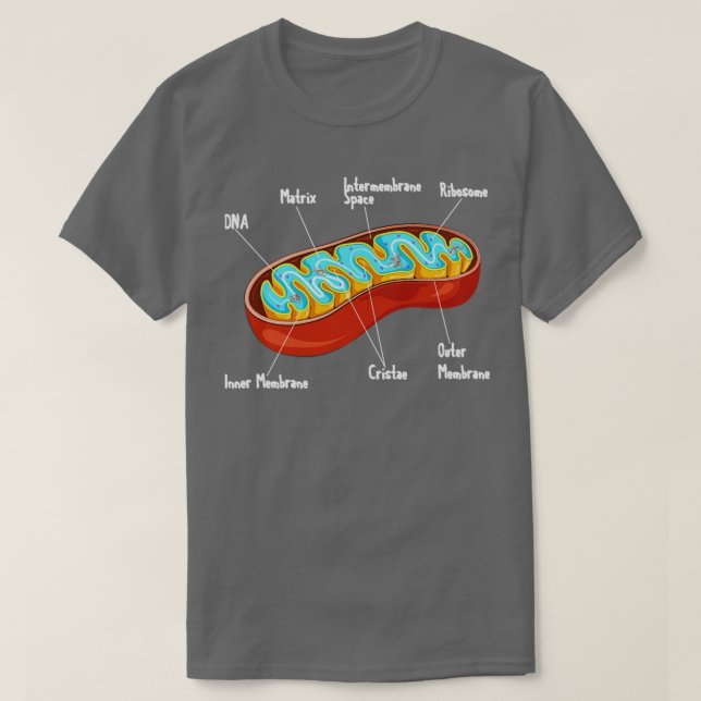 T-shirt Biologie cellulaire Mitochondrie Biologiste Scienc (Design devant)
