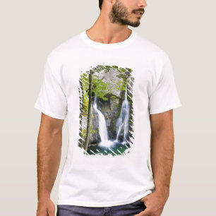 T-shirt Bish Bash Falls dans le parc d'État de Bish Bash F