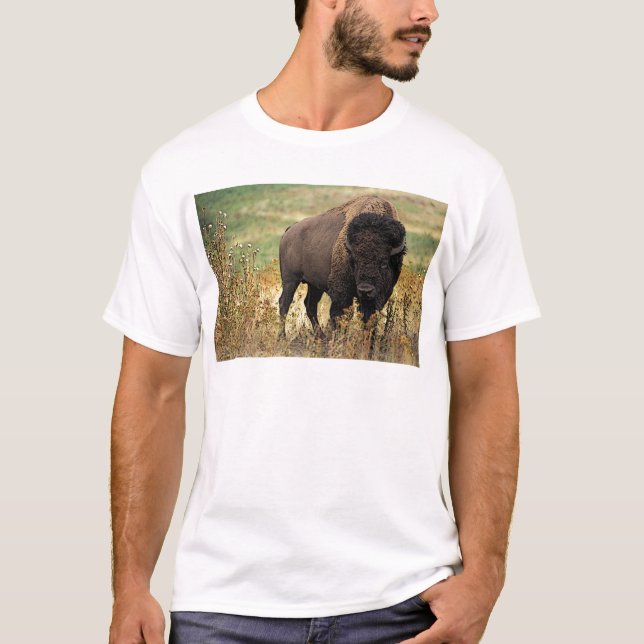 T-shirt Bison américain (Devant)